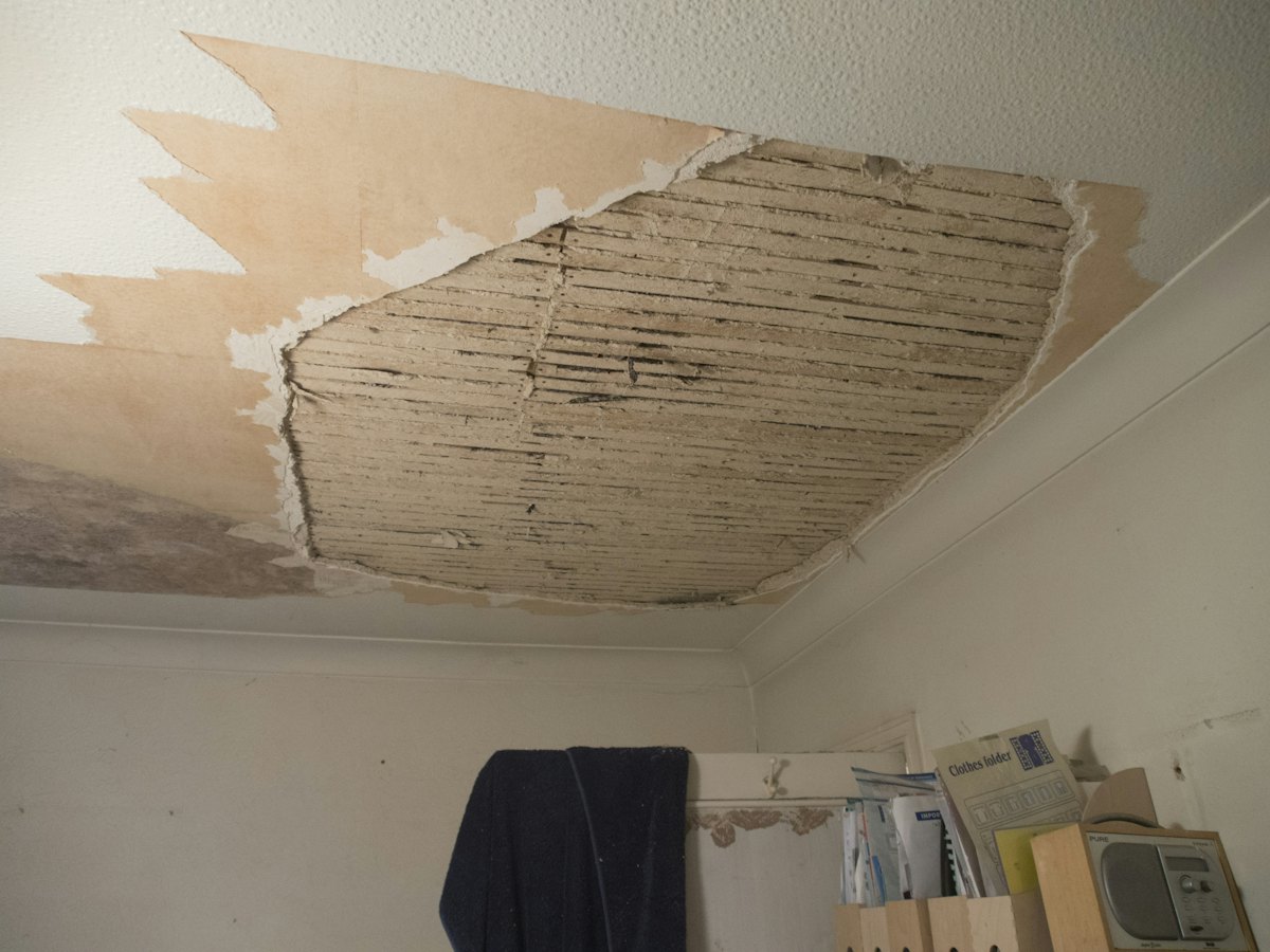 Restoration & Damage Repair